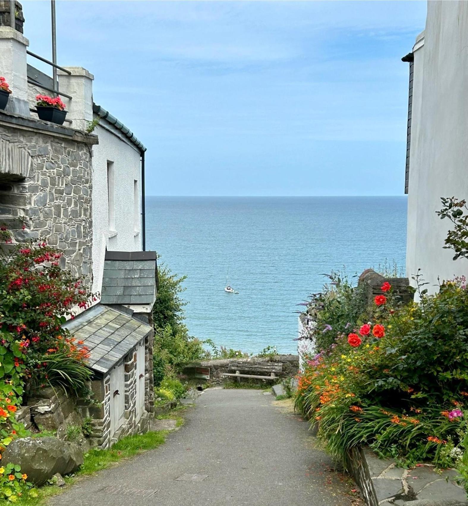 North Devon Seaside Cottage With Log Burner Bucks Mills Екстериор снимка