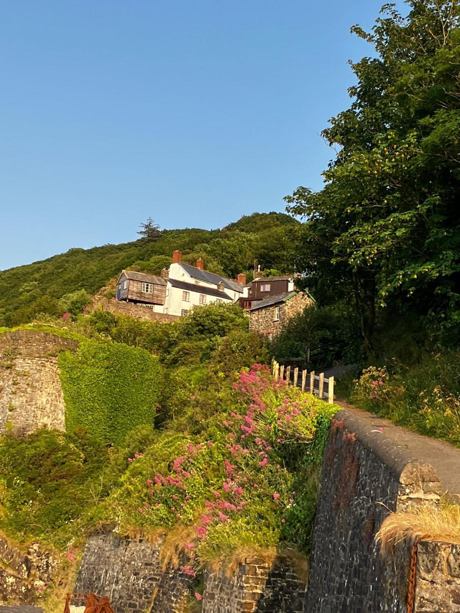 Cosy Boathouse Cottage By The Sea With Log Burner Bucks Mills Екстериор снимка