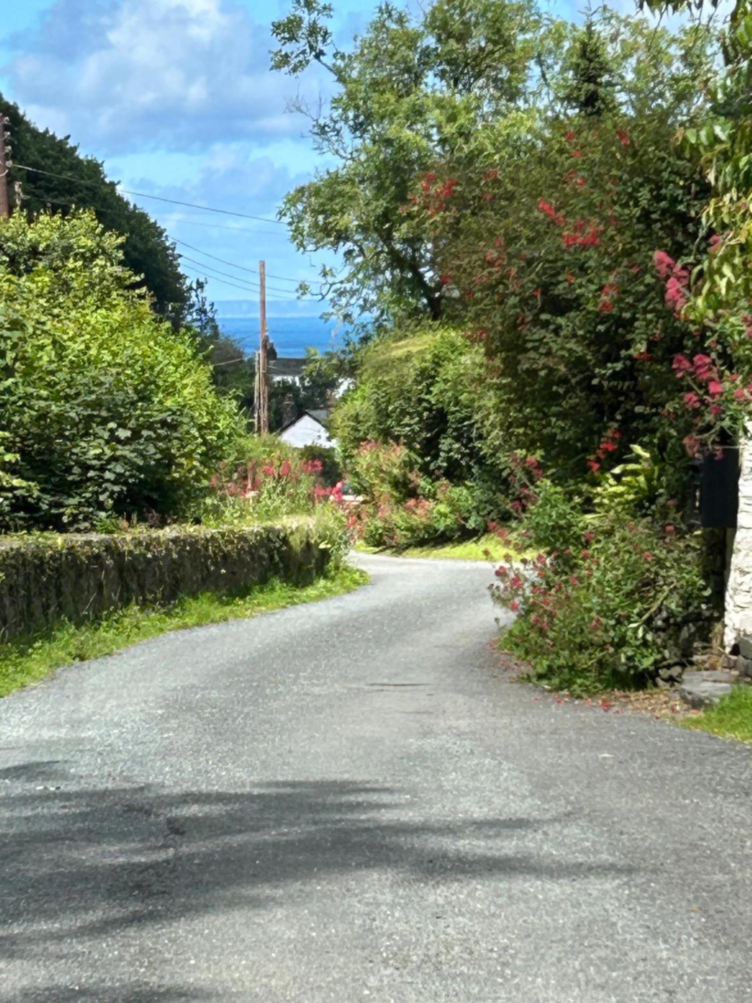 North Devon Seaside Cottage With Log Burner Bucks Mills Екстериор снимка