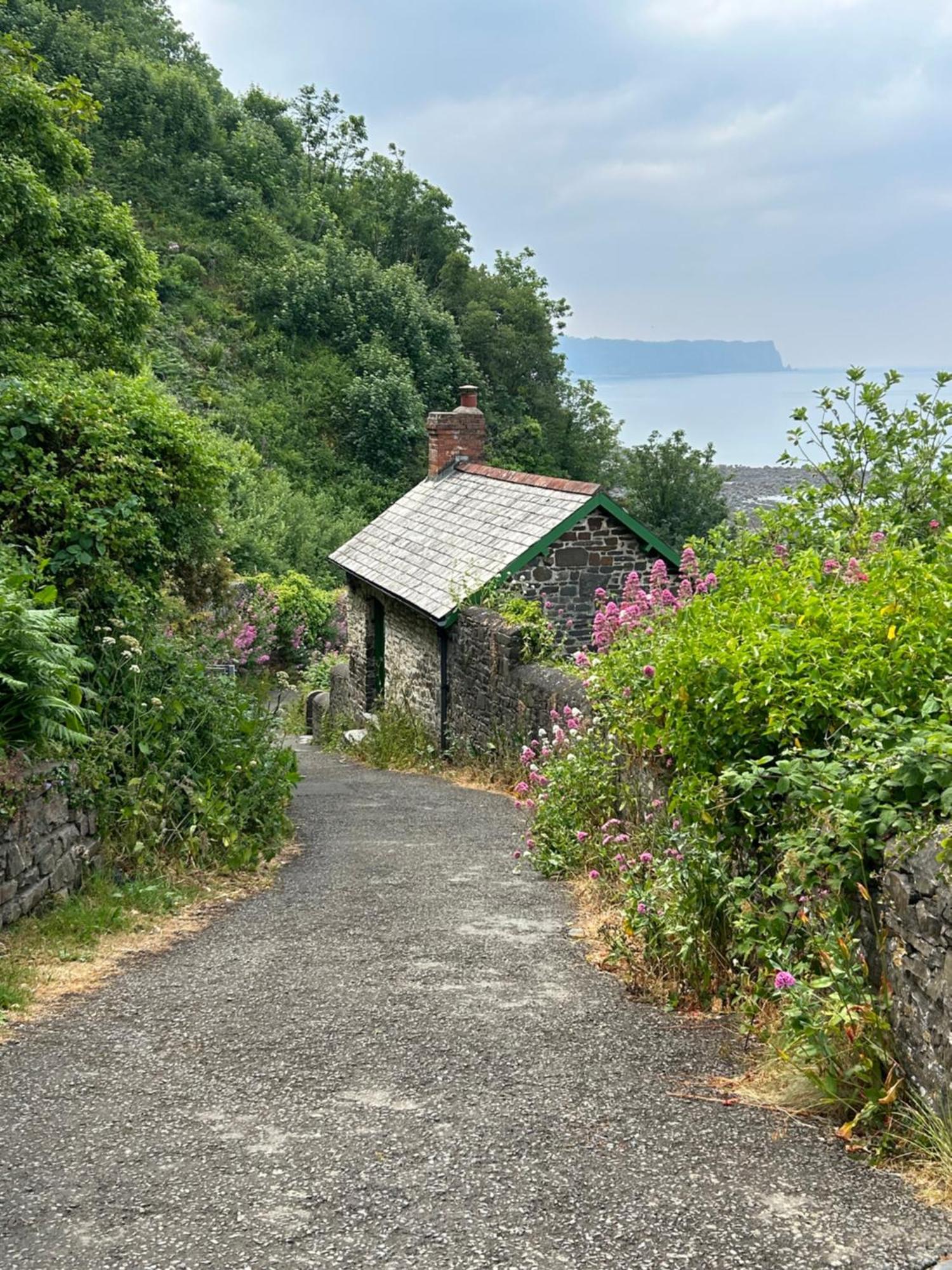 North Devon Seaside Cottage With Log Burner Bucks Mills Екстериор снимка