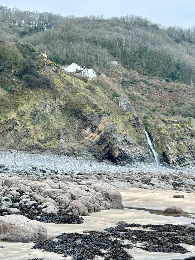 Cosy Boathouse Cottage By The Sea With Log Burner Bucks Mills Екстериор снимка